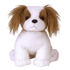 TY Beanie Buddy - REGAL the King Charles Spaniel Dog 9.5 inch - MWMTs