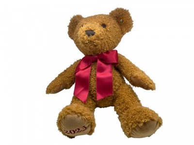Steiff Tier Teddy Bär 113901 Jubiläums Bär 2023 - 35 cm. Top Zustand 