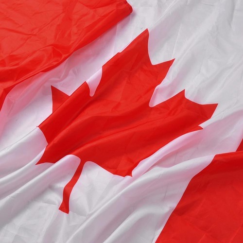 Canada Day Celebration In Forested Setting With Maple Leaf Flags Stock - Foto 6