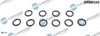 Dr.Motor Automotive DRM0342 Dichtung FüR ÖLfiltergehäUse FüR BMW