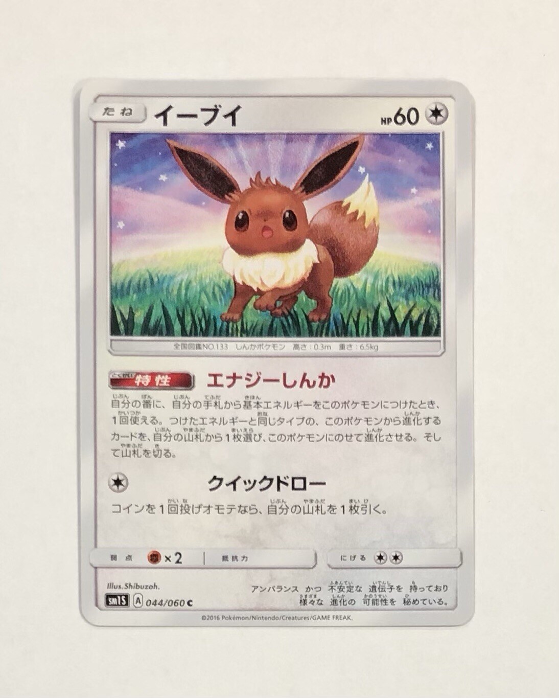 Pokémon EEVEE Card 044/060 Japanese Collection Sun Common Near Mint