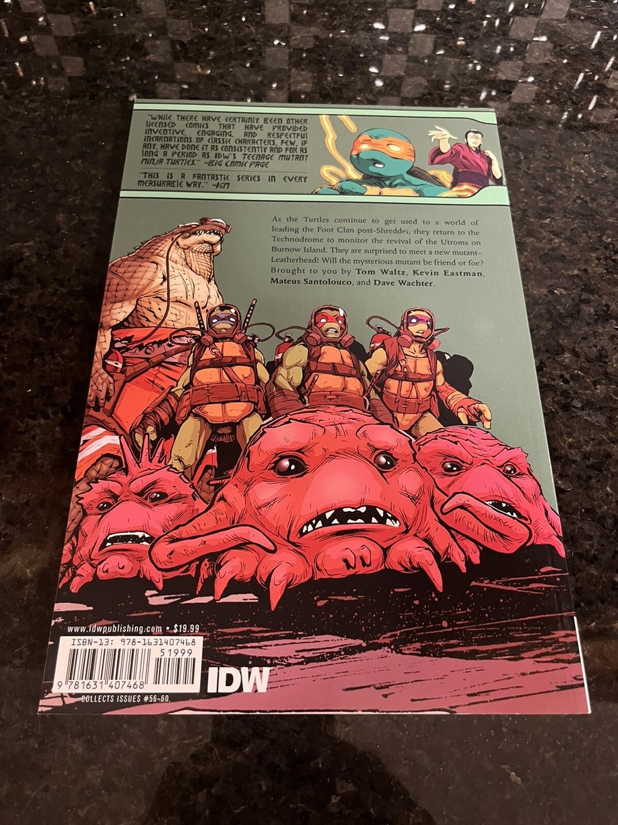 Teenage Mutant Ninja Turtles #15 (IDW Publishing October 2016) for