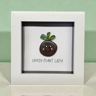 Handgefertigtes Seeglas ''Crazy Plant Lady'' Schattenkasten Bild