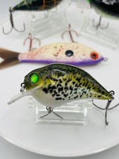 Custom painted crankbait Similar To Mega Bass S Square Bill Crappie with rattles