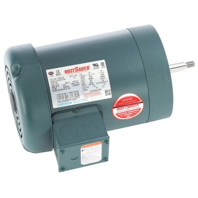 LEESON 119453.00 Pump Motor,3-Phase Design,Steel Frame 60WD35