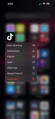 Oh My Phone Attracted You. Well Luck For You This Phone Got TikTok 14 Pro Max.