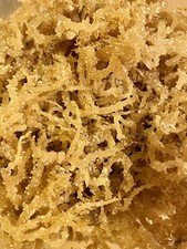 Wild Crafted Sea Moss - Dr Sebi Approved 