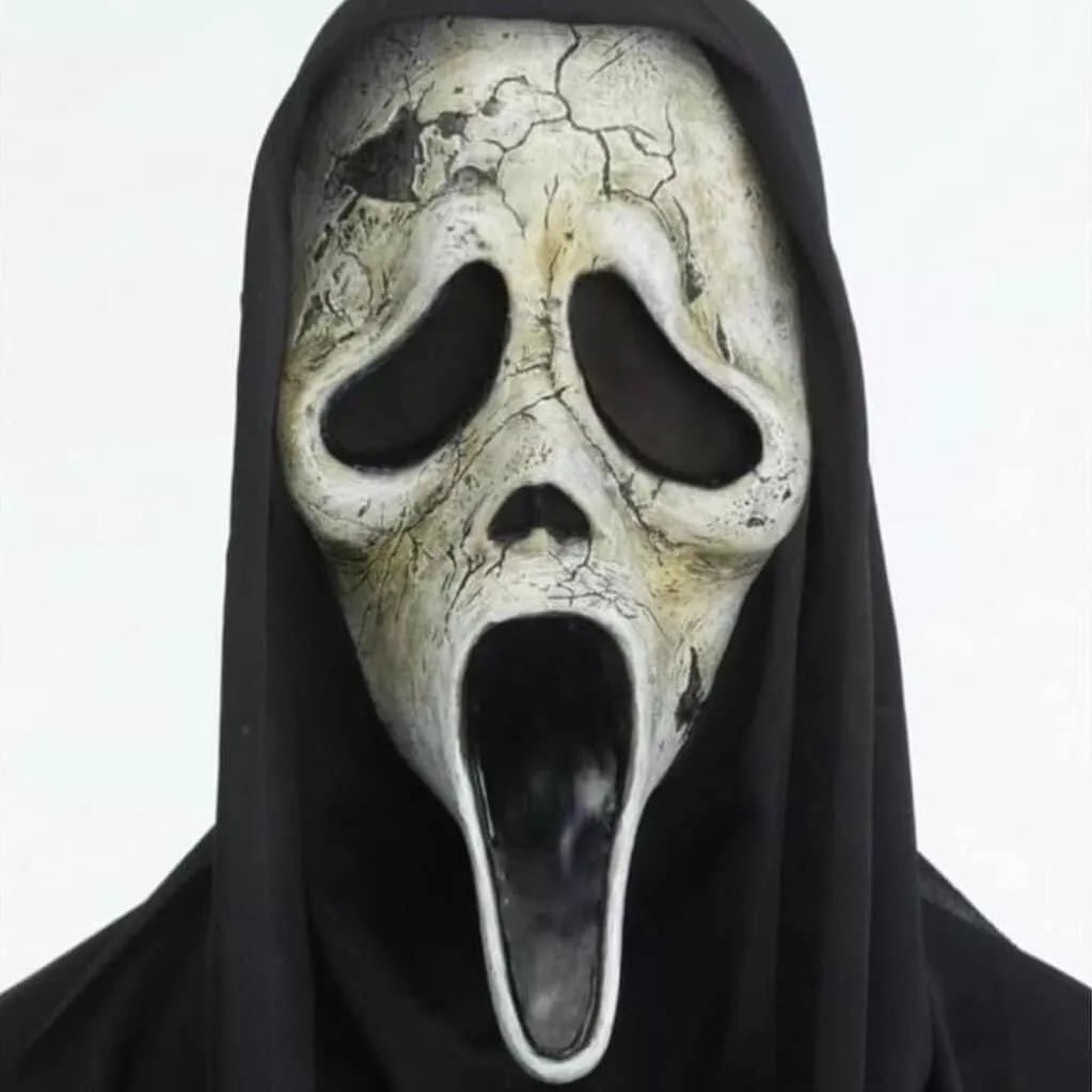 Fun World Inc. Officially Licensed Scream Bleeding Ghost Face Halloween  Scary Costume Male, Child, Black