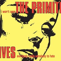 Primitives - I Won't Care - Vinyl Record 7 - G2Z