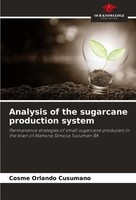 Cosme Orlando Cusumano | Analysis Of The Sugarcane Production System | Buch
