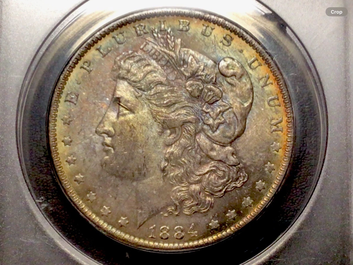 1884 Year Morgan US Dollars (1878-1921) for sale | eBay