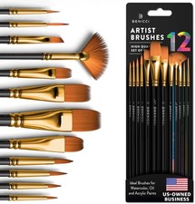 Professional Artist Paint Brush Set of 12 Acrylic Painting Brushes Kit