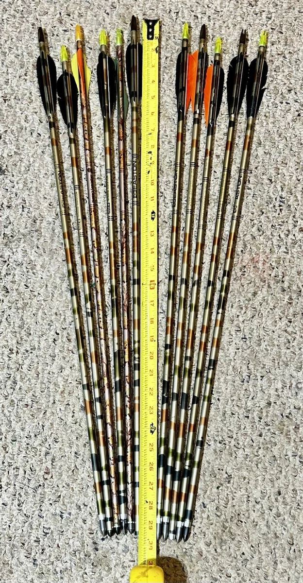 569551_6