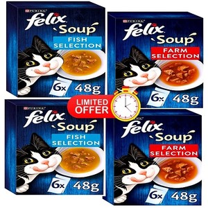 felix cat soup