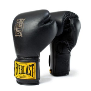 Everlast 1910 Boxing Gloves | eBay
