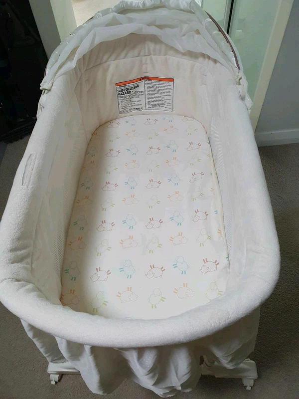 little lamb bassinet