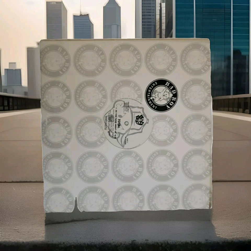 BAD BOY RECORDS LOT OF 5 PROMO 12" VINYL SINGLES NOTORIOUS BIG LIL KIM 112 TOTAL Foto 4 de 4