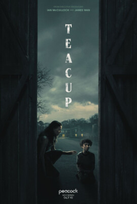 Teacup - Wall Art Decor Movie Poster 18'' X 28'' - ID1