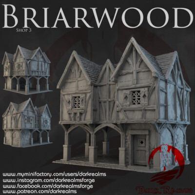Dark  Realms Briarwood (Bree) Shop 3 Herr der Ringe Tabletop  Fantasy Terrain