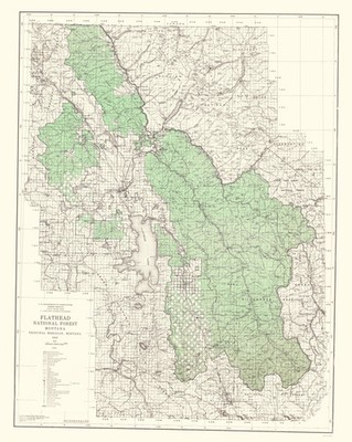 Topographical Map - Flathead National Forest Montana - USGS 1948 - Vintage Wall