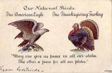 PRE-1907 OUR NATIONAL BIRDS THE AMERICAN EAGLE & THANKSGIVING TURKEY 1905