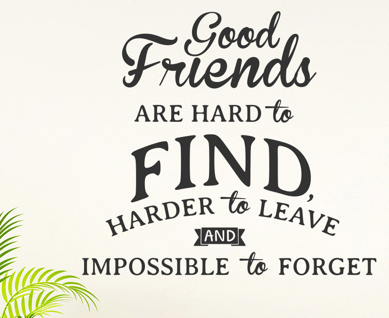 Good Friends Are Hard To Find Harder To Leave Vinyl Wall Decal FR10B