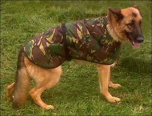 camo dog coat