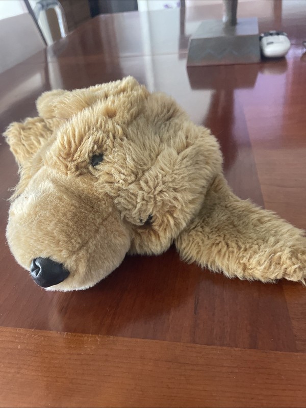 Daphneheadcover Golden Retriever