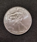 2020 American Silver Eagle Coin BU Real Free Shipping Look!
