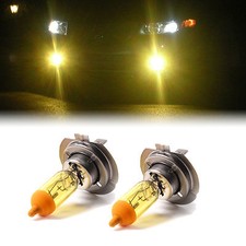 Ampoule Rover 25