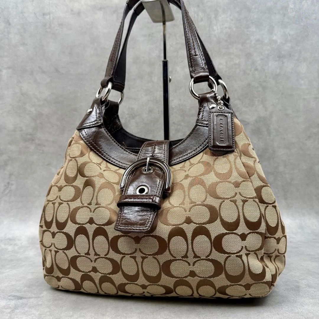 Coach Soho Hobo Bag | eBay