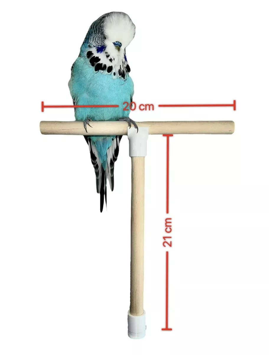 T Shape Bird Perch Stand. Natural Wood Bird Cage Perch For Budgie, Finch,  Parrot