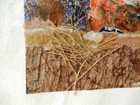 Bild 7 von 17