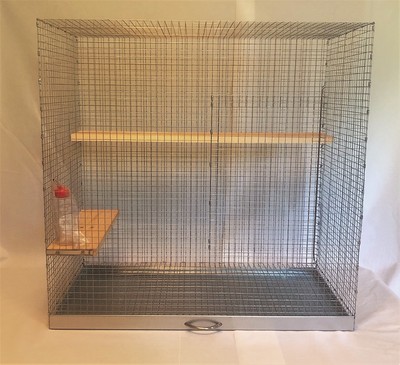 slow feeder petsmart