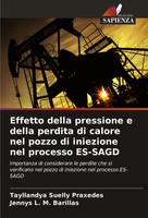 Effetto Della Pressione E Della Perdita Di Calore Nel Pozzo Di Iniezione Nel...