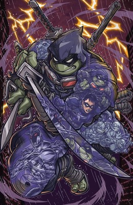 Teenage Mutant Ninja Turtles: The Last Ronin--Training Day - IDW Exclusive