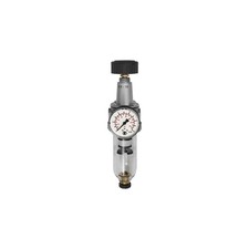 Riegler Filterregler &raquo;Standard&laquo; mit Polycarbonatbeh&auml;lter BG 1 G 1/4