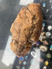 SUPERSTITION MOUNTAIN ARIZONA GOLD QUARTZ SPECIMEN 4 oz 3" x 1" GOLD QUARTZ