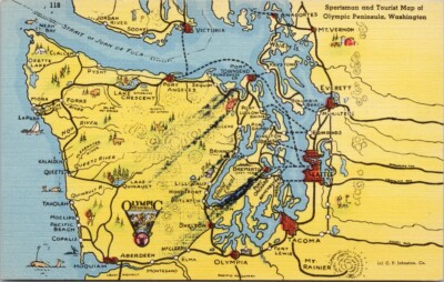 Olympic Peninsula WA Sportsman and Tourist Map PNW Unused Linen Postcard H50