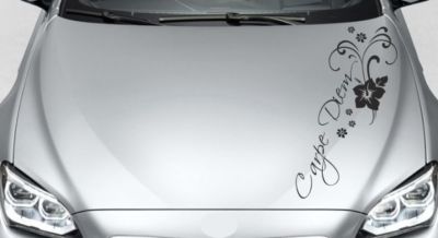 Motorhaubenaufkleber Autoaufkleber Car Style AUFKLEBER Carpe Diem Schriftzug 80