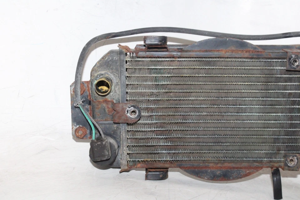 84-85 HONDA SHADOW 700 VT700C OEM ENFRIADOR DE MOTOR RADIADOR DE REFRIGERACIÓN RADIADOR Foto 2 de 4