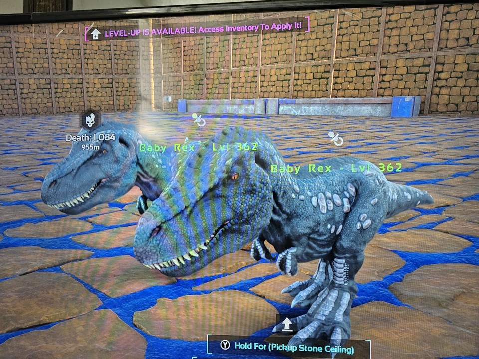 ark survival ascended pve Rex Solid 79 Top Stats (Babies Pair) | eBay