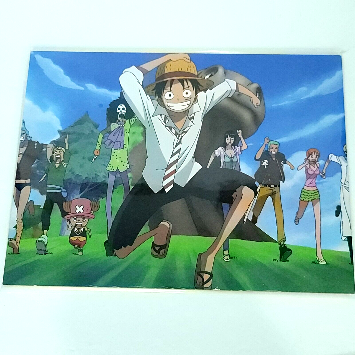 Luffy Running One Piece HZ2-027 Double-sided Art Size A4 8