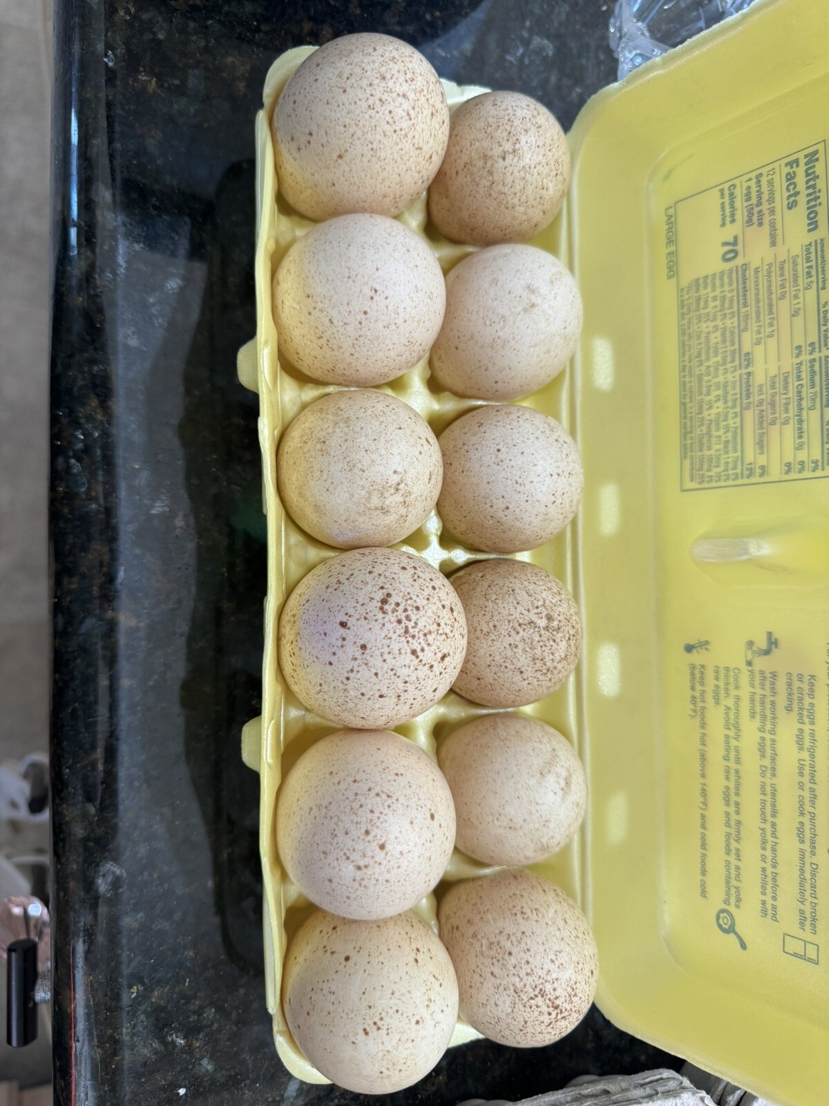 6+ Fertile Midget White Heritage Turkey Hatching Eggs eBay