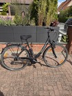 Pegasus Avanti 28 Herrenfahrrad 7 Gang Shimano Schaltung