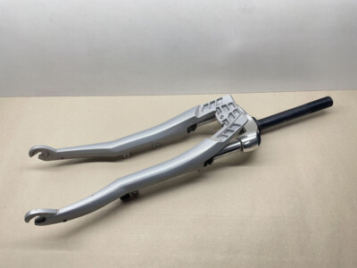 Gazelle E-Bike Orange Innergy ORIGINAL Federgabel Frontmotor