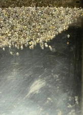 1+ Carats GREAT LUSTER Raw Natural  ROUGH DIAMONDS 75/100Per Carat  SHINY Powder