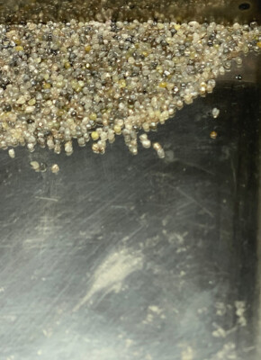 1+ Carats GREAT LUSTER Raw Natural  ROUGH DIAMONDS 75/100Per Carat  SHINY Powder