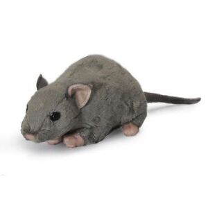 rat cuddly toy