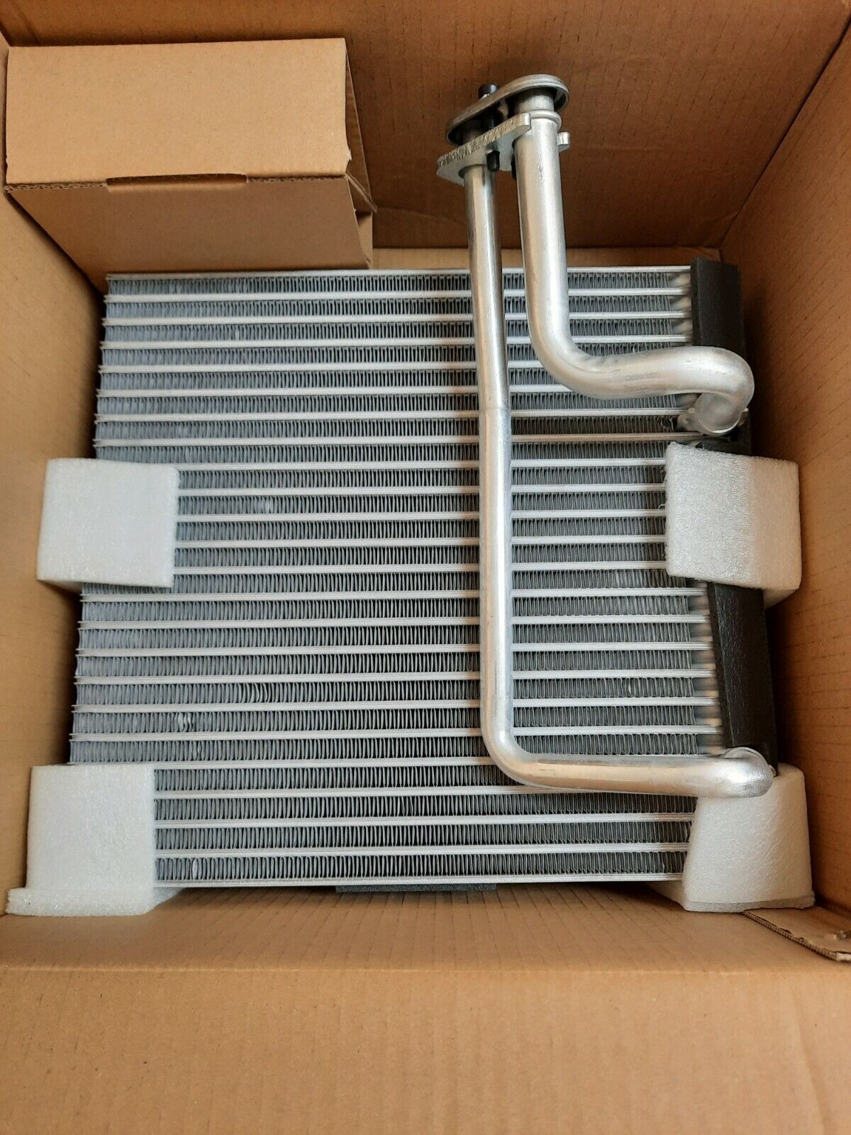Picture 4 of 6